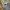 2485-Rewind.jpg 2485-Rewind.jpg